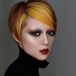 Profile