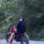 Profile