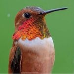 Profile