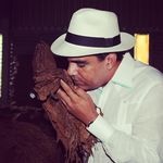 Profile