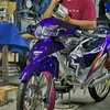 Profile