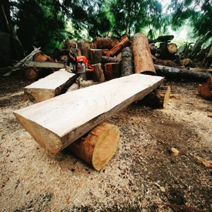 Post cover