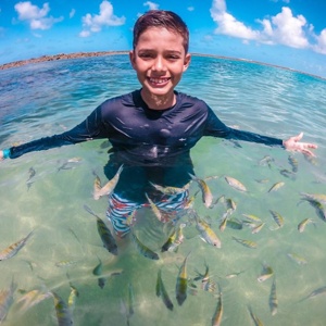 ...