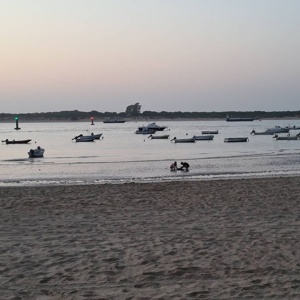 Post cover
