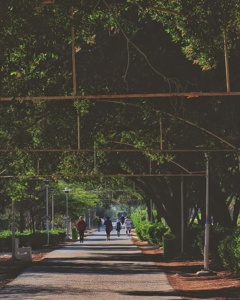 Post cover