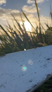 Post cover