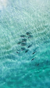 Post cover