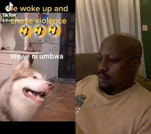 ...