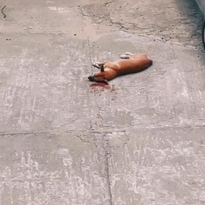 ...