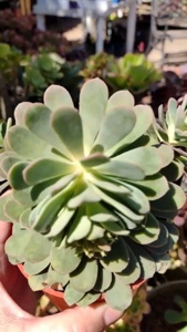 Post cover