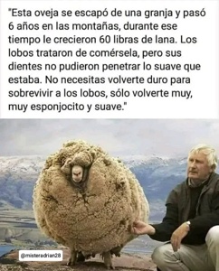 ...