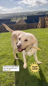 Post cover