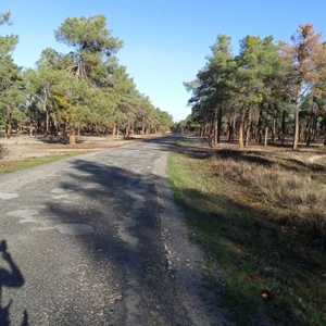 Post cover