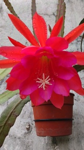 Post cover