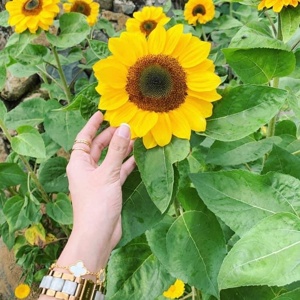 Post cover