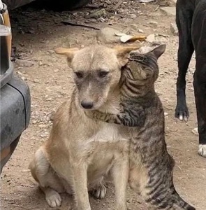 ...