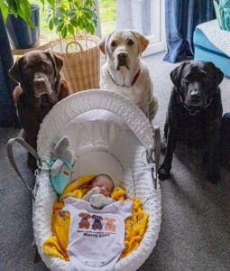 Post cover