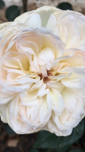Post cover