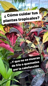 Post cover
