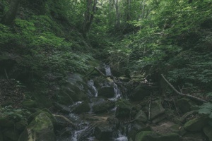 Post cover