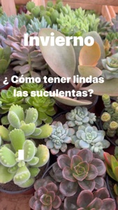 Post cover