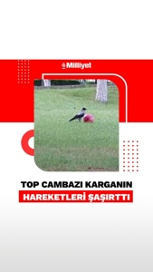 Post cover