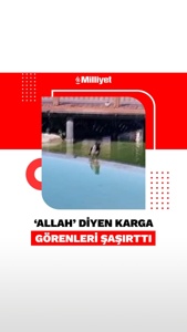 Post cover