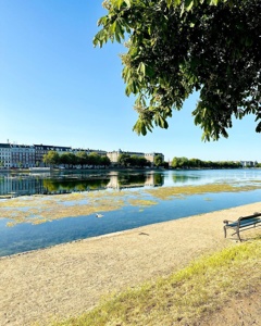 Post cover