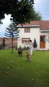 Post cover