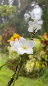 Post cover