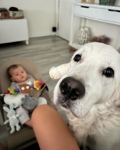 ...