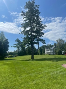 Post cover
