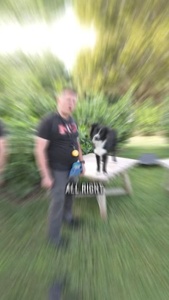 ...
