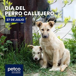 Post cover