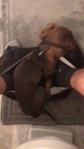 ...