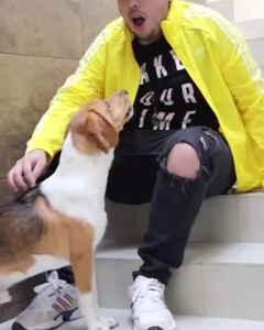 ...