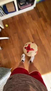 ...