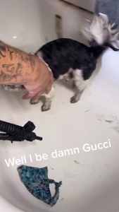 ...