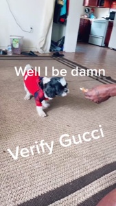 ...