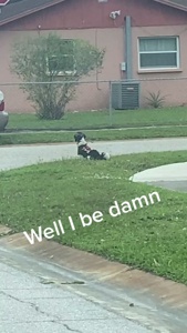 ...