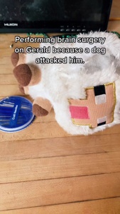 ...