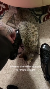 ...