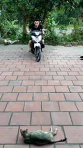 ...
