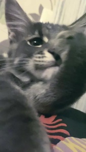 ...