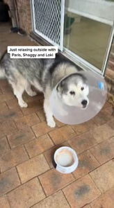 ...