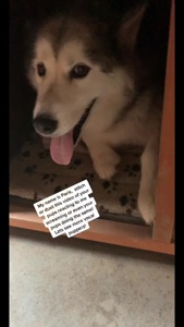 ...