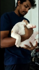 ...
