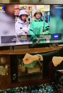 ...
