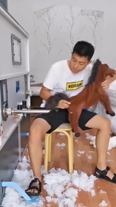 ...