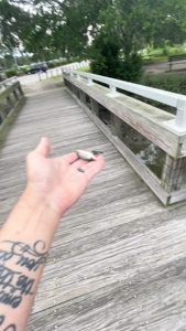 ...